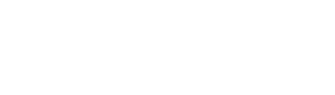 Puma Camillê